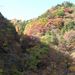 20051119_oyanagawatrip_015